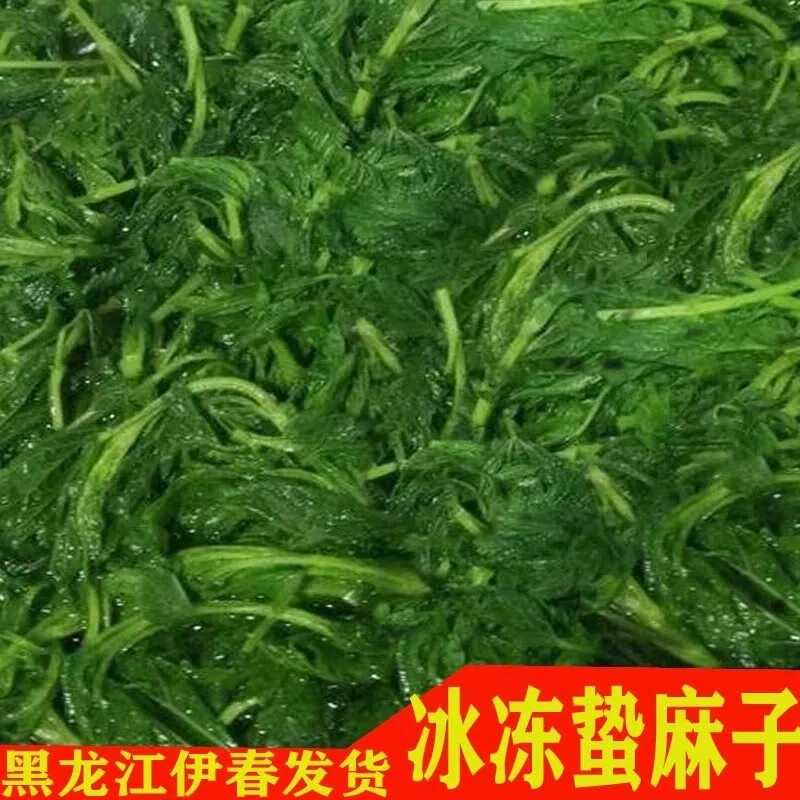 隽颜堂冰冻蛰麻子东北黑龙江伊春蛰麻子冰冻真空一斤 冰冻蛰麻子一斤