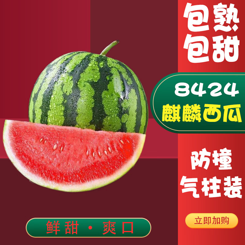 觅百果麒麟西瓜应当季新鲜水果手撕红玉沙瓤薄皮冰糖西瓜8424爆甜 精品麒麟瓜7-8斤