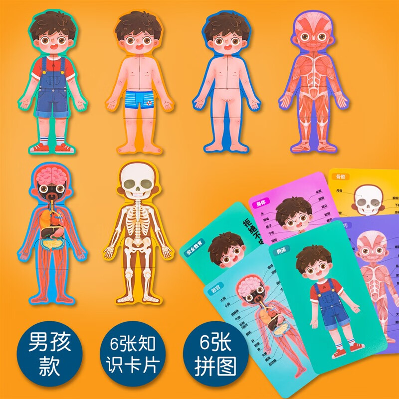 42人体认知拼图男孩女孩儿童安教育木制玩具 mg-身体结构拼图男孩款