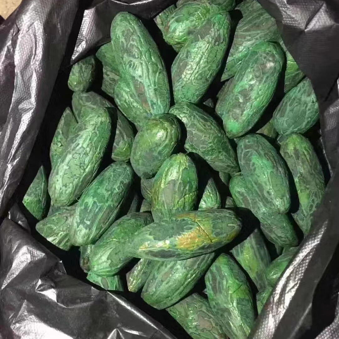 世纪约定彩色千眼菩提籽原籽彩果大果手把件吊坠红果绿果三彩果 三