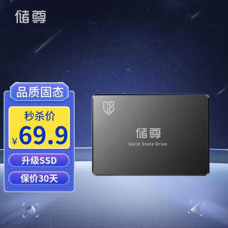 储尊（CZ）256GB SSD固态硬盘 SATA3.0接口 CS101电脑升级