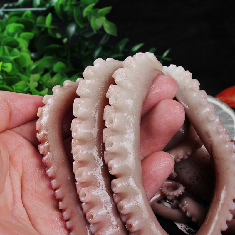 伯贤 新鲜八爪鱼大爆头大章鱼有墨长腿大个章鱼海鲜水产 1000g