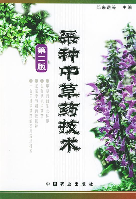 采种中草药技术