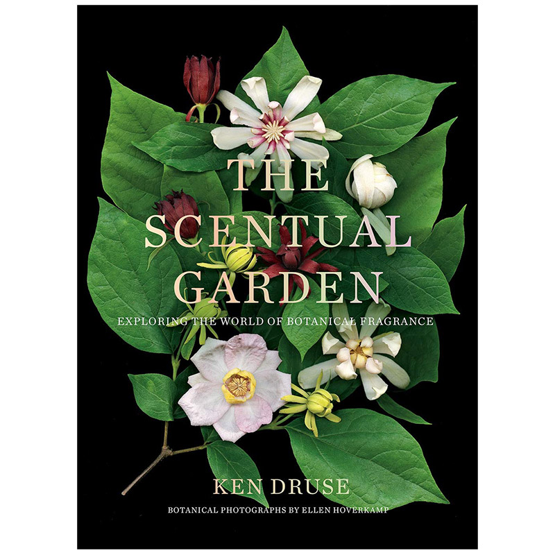【现货】the scentual garden 风景花园:探索植物芬芳的世界 花艺园艺