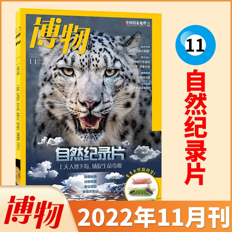 【2月新/半年/全年订阅】博物杂志2023年订阅中国家地理青少年版博物君式科普百科全书万物自然人文地理 2022年11月 自然界纪录片