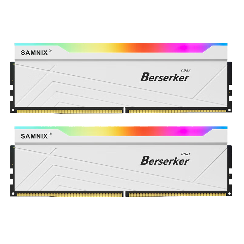 新乐士（SAMNIX）台式机内存条 32GB(16GBx2)DDR5 6000Mhz白色 RGB灯条狂刃战士电竞游戏