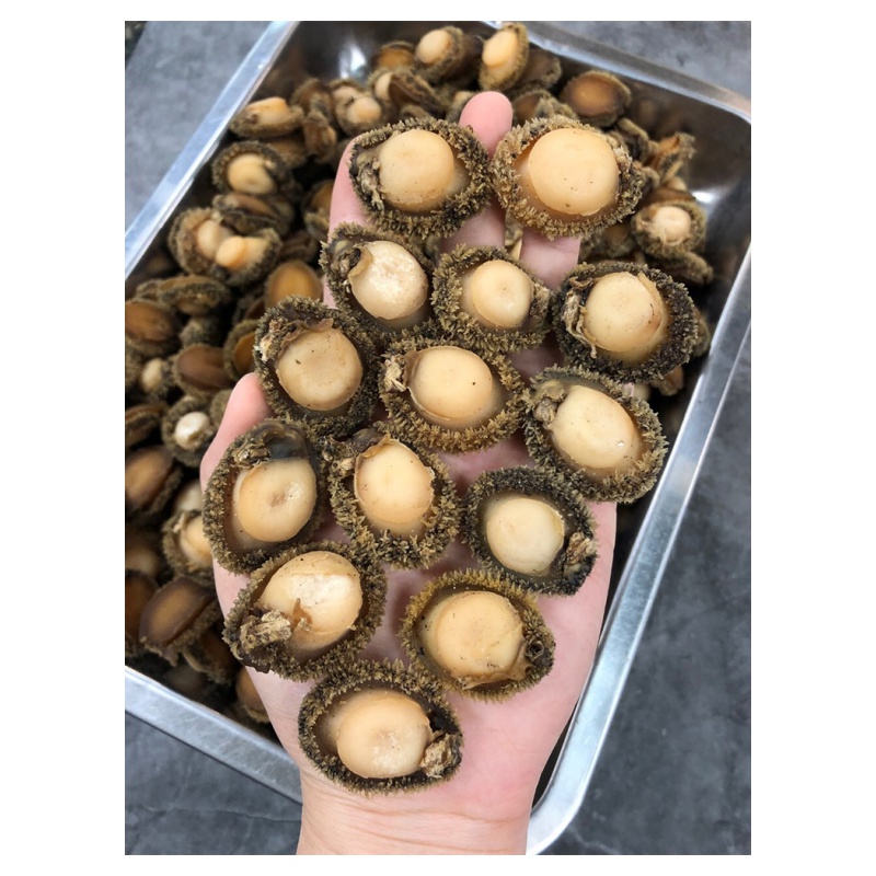 80-100头南非野生鲍鱼溏心足干鲍鱼精选海味干货250g40-50只