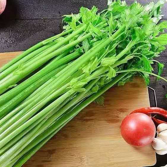 现挖西芹芹菜新鲜蔬菜带叶本地芹菜非小香芹时令蔬菜青菜批发特价 5斤
