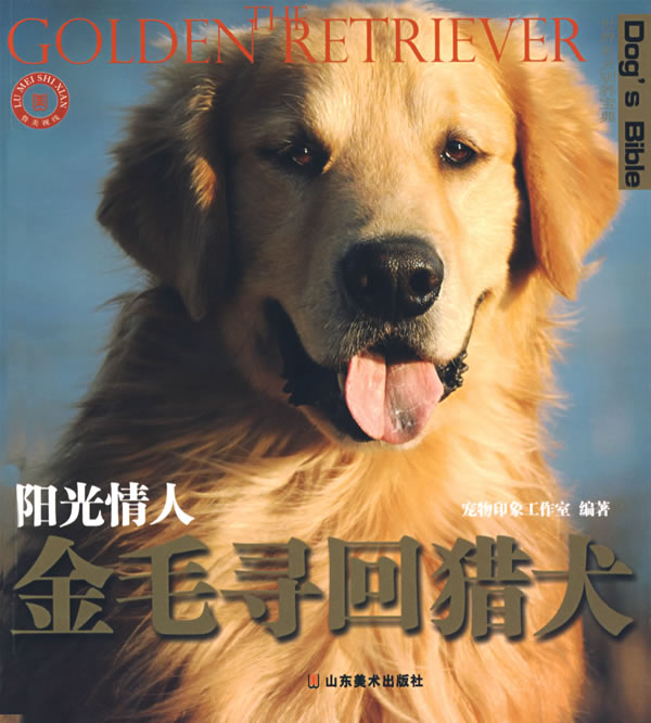 世界名犬驯养宝典－阳光情人 金毛寻回猎犬【放心选购】