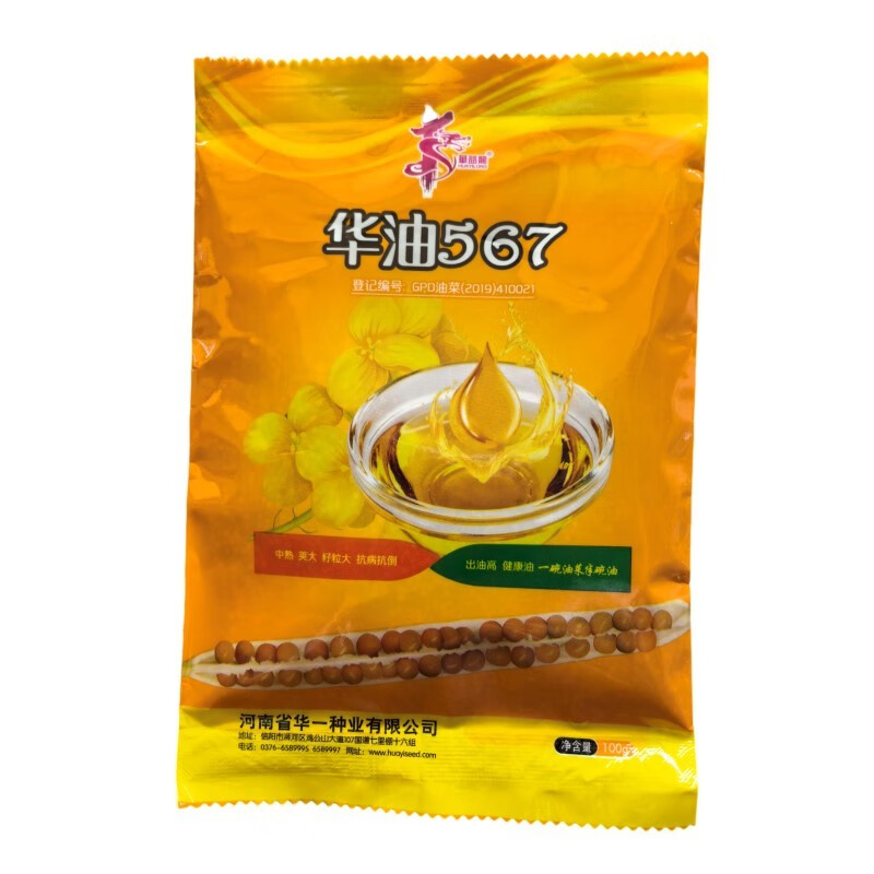嘉瑰正宗华油567油菜种子 原装高产高油抗病抗倒甘蓝型冬油菜杂交品种