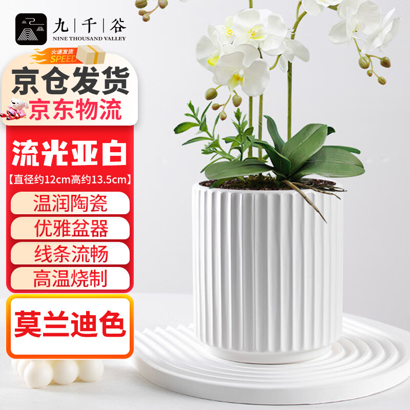 ��ǧ���մɻ����к���̨���������ֲ���ܶ���ֲ���������ǰ�1��װ3789