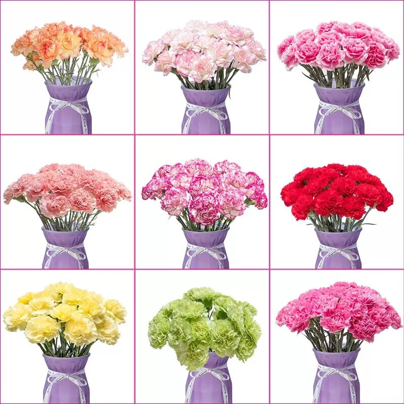 �Ӱ�����ܰ�ʻ����ϻ���ֱ�����л����ò�ƿˮ���滨 ���ɫ����ܰ18֦+2֦����