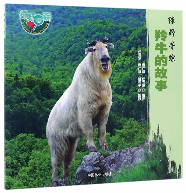 羚牛的故事(绿野寻踪)