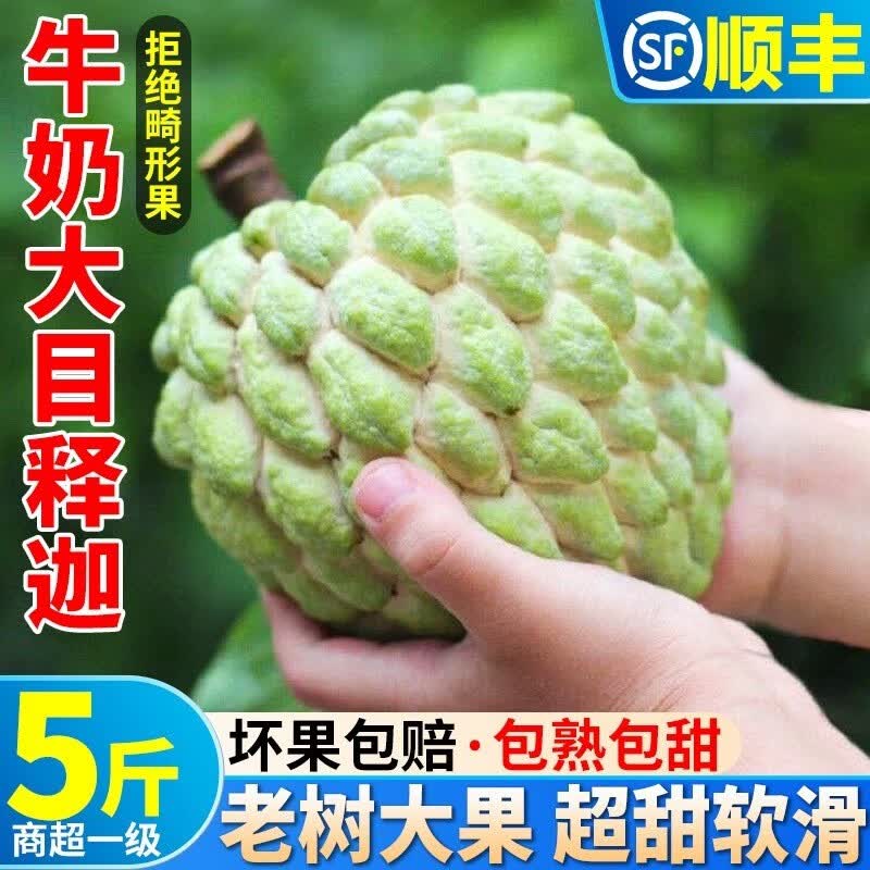 GANXIAN海南大目释迦【顺丰空运】番荔枝佛头果 热带当季水果牛奶释迦果 3斤 中果（单果4-6两/个）怎么样,好用不?