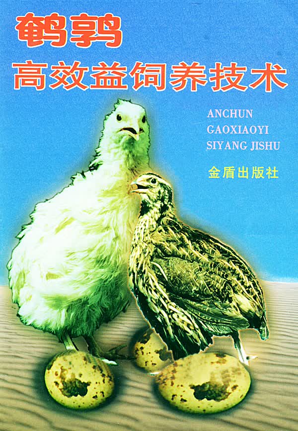 鹌鹑高效益饲养技术 林其【正版书籍】