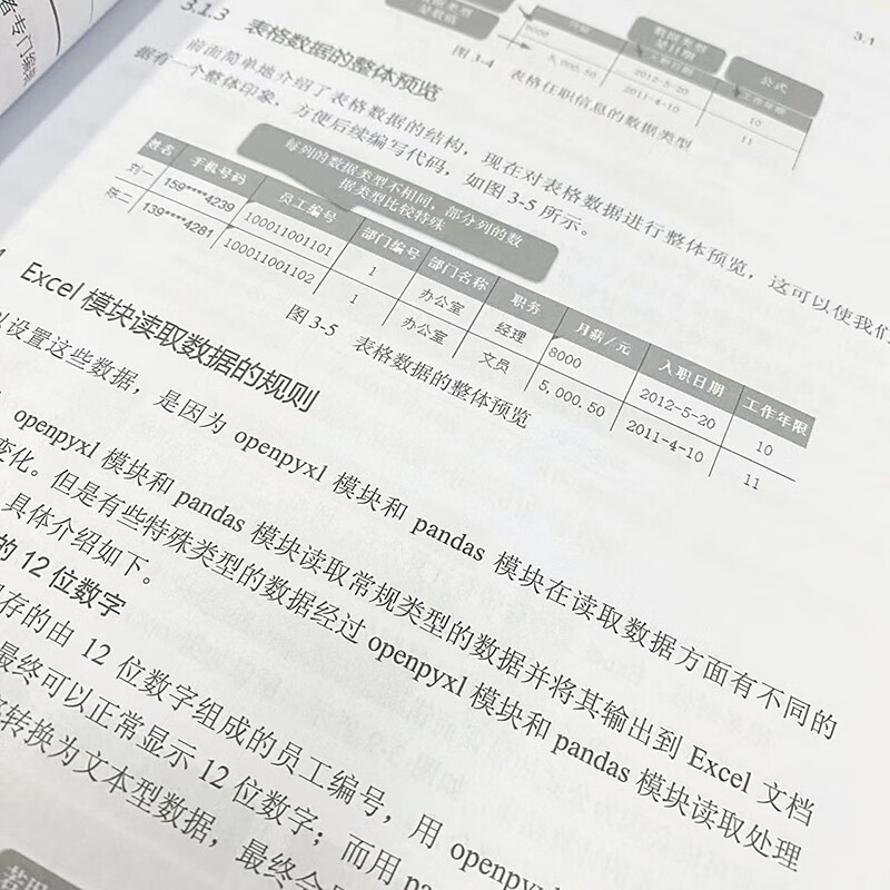 用Python轻松处理Excel数据（异步图书出品）