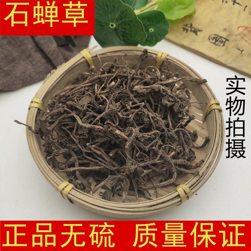北京同仁堂石蝉草500g 石婵草 火伤叶 胡椒草