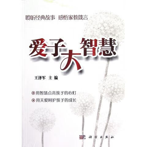 爱子大智慧 王泽军【正版】