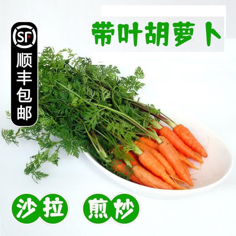 【顺丰】新鲜手指胡萝卜  带叶迷你小萝卜 现挖新鲜蔬菜 1斤