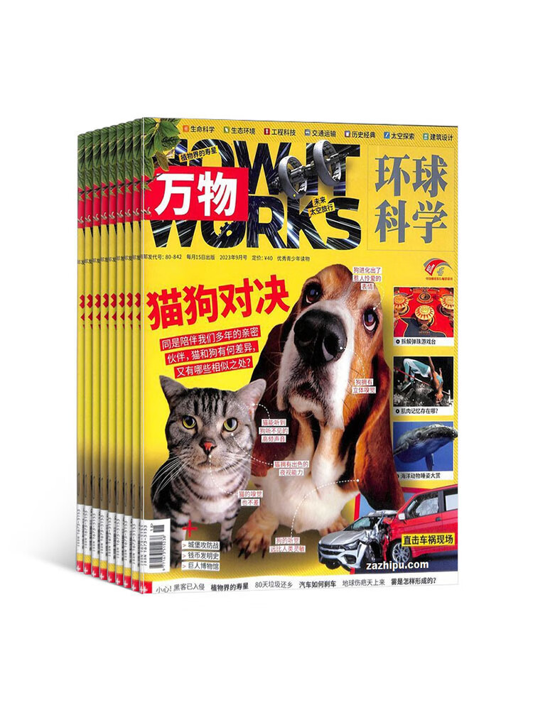 【半年订阅】万物杂志 2024年1月-6月/2024年7月-12月 共6期自选 中小学生科普百科How it works 中文版8-15岁青少年课外阅读书籍期刊杂志订阅 杂志铺 2024年1月-6月高性价比高么？