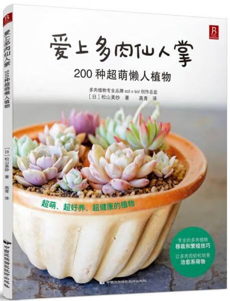 爱上多肉仙人掌:200种超萌懒人植物97