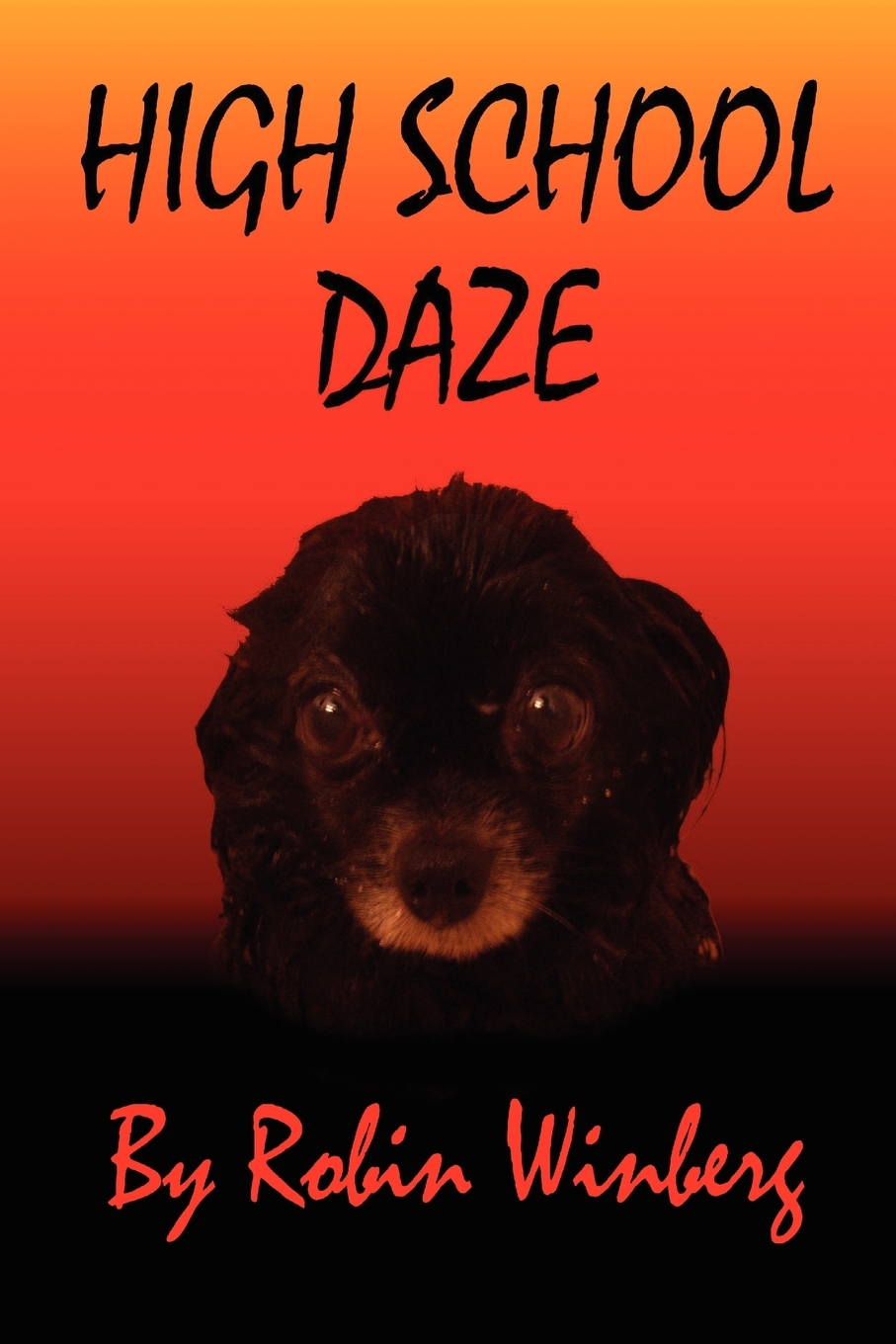 【预售 按需印刷】high school daze