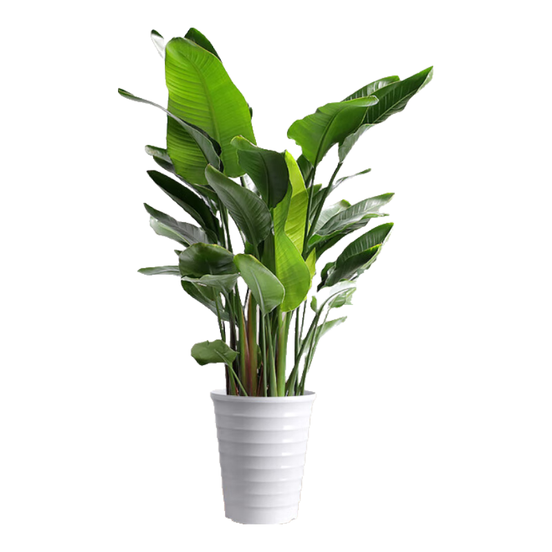 ���ڲ��������а������ֲ����������5-6��1.2-1.3�����Ʒ´���