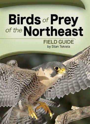 预订birds of prey of the northeast field guide