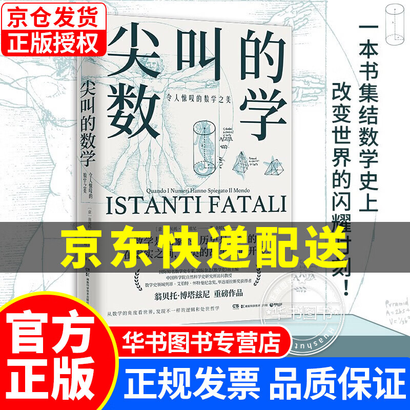 尖叫的数学 令人惊叹的数学之美（国际数学杂志《数学史》前主编翁贝托·博塔兹尼带你从数学的角度看世界） 尖叫的数学