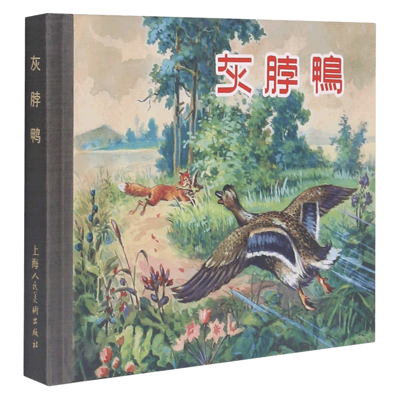 灰脖鸭(精)属于什么档次？