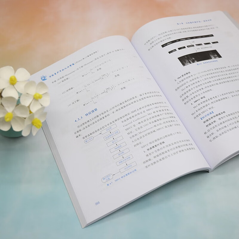 写给青少年的人工智能（Python版）