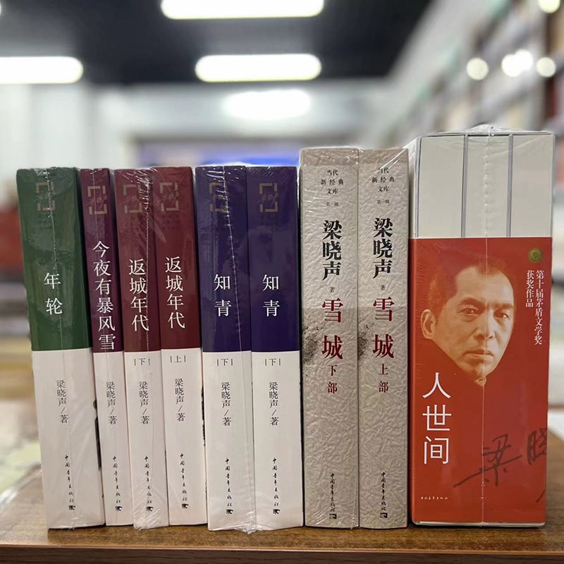 梁晓声作品【套装11册】人世间 雪城 知青 返城年代 年轮 今夜有暴风雪 长篇小说集完整版 第十届茅盾文学获作品作者书籍