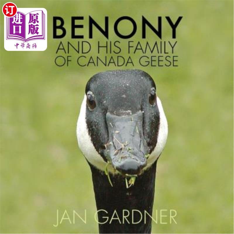 海外直订benony and his family of canada geese 贝诺尼和他的加拿大