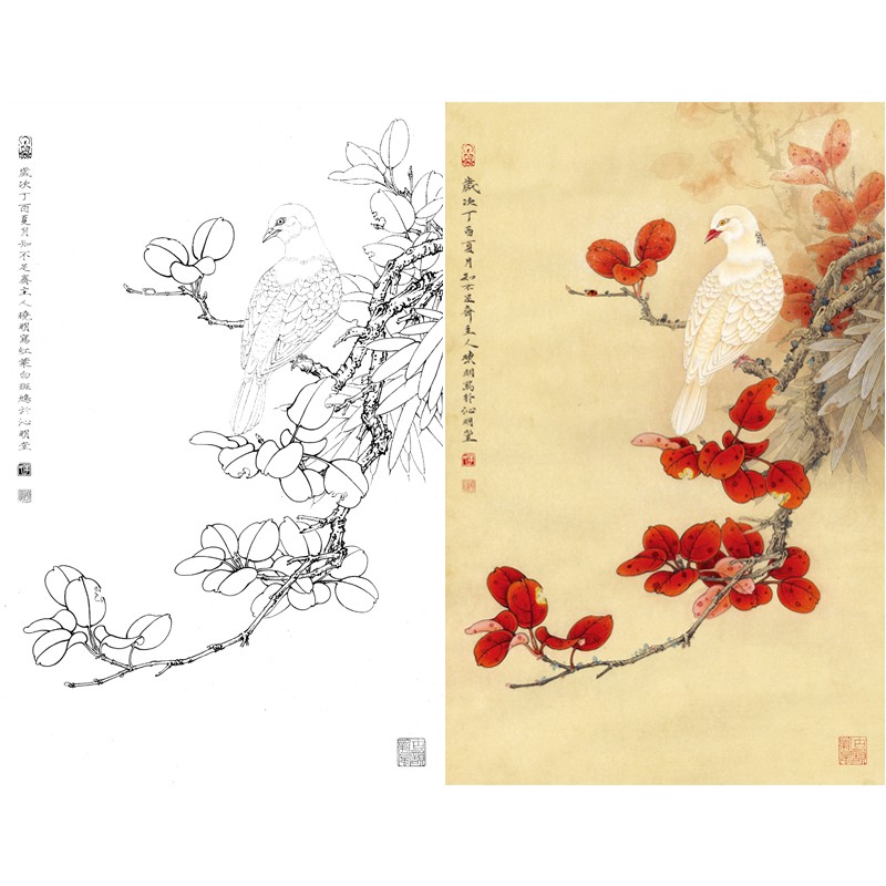 工笔画白描底稿红叶白斑鸠小品原作大小41*63厘米花鸟线稿带a3步骤图