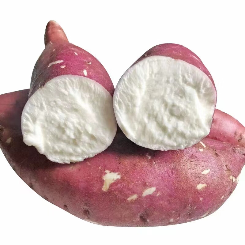 四川红皮白心红薯新鲜现挖老品种板栗薯农家自种沙地干面地瓜山芋 8.