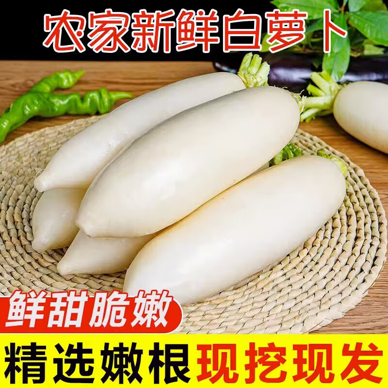 皓謙 新鮮白蘿卜現(xiàn)挖蔬菜農(nóng)家自種生吃甜脆長(zhǎng)蘿卜 白蘿卜5斤