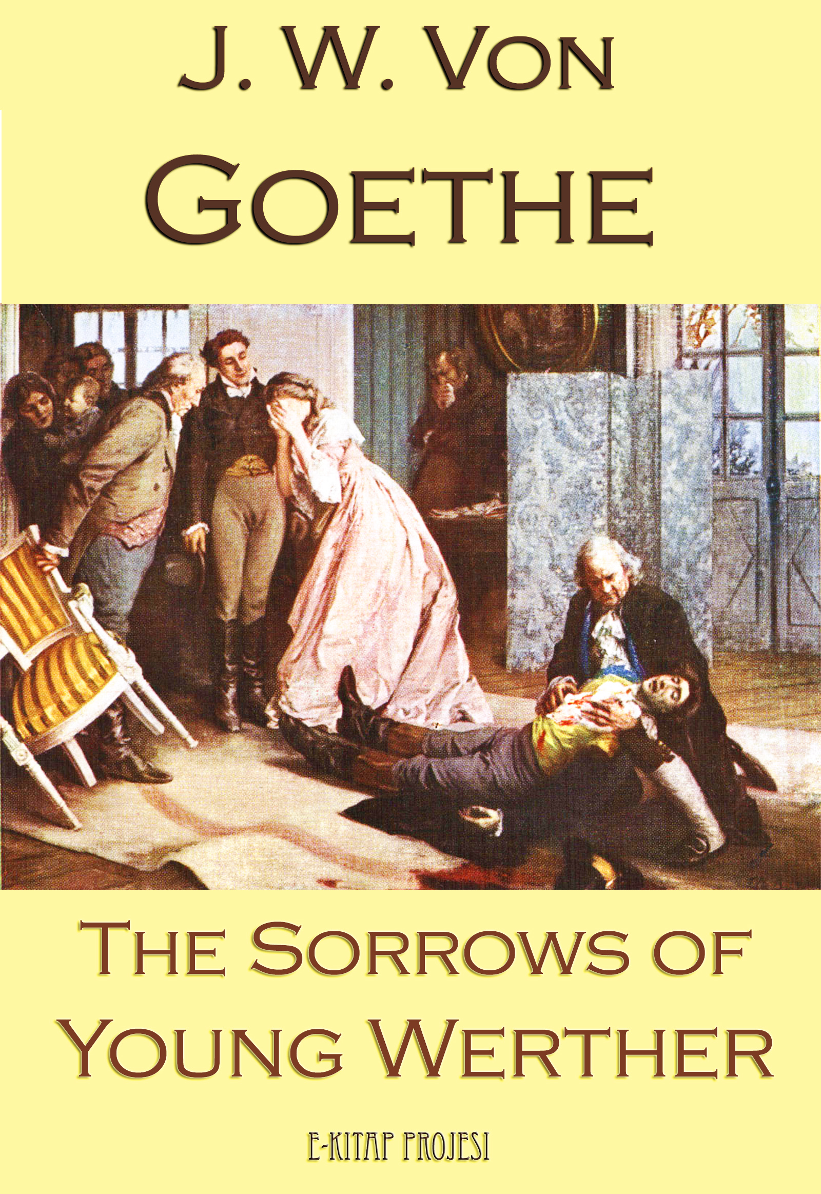 the sorrows of young werther