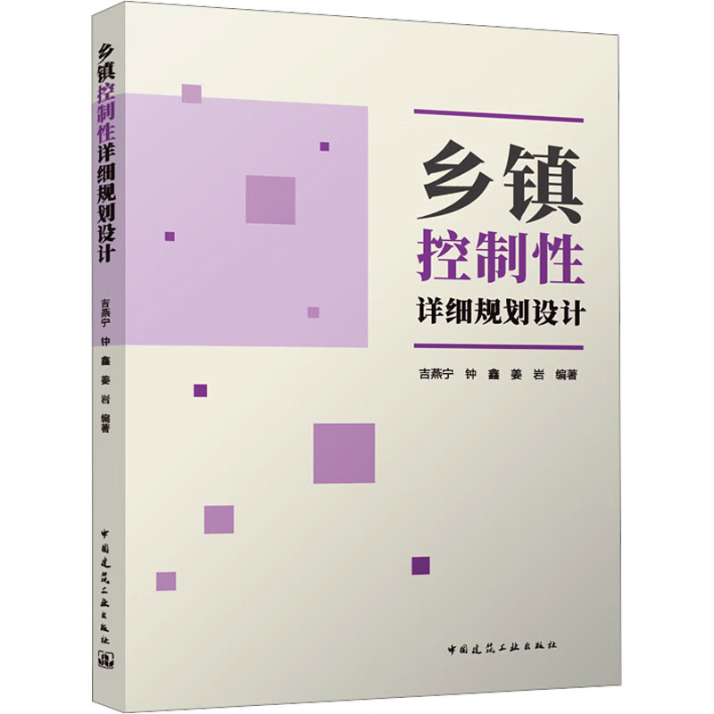 乡镇控制性详细规划设计 图书
