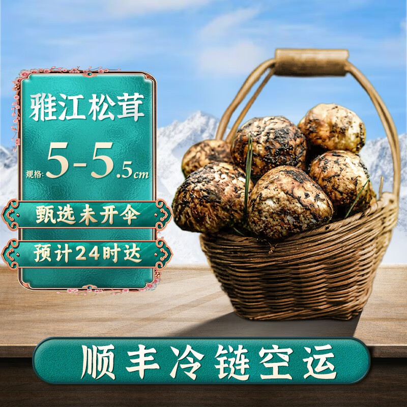 智田喜雅江松茸新鲜高品质未开伞新鲜松茸菌菇 冷链空运多地24小时直达 甄选未开伞5-5.5cm 500g高性价比高么？