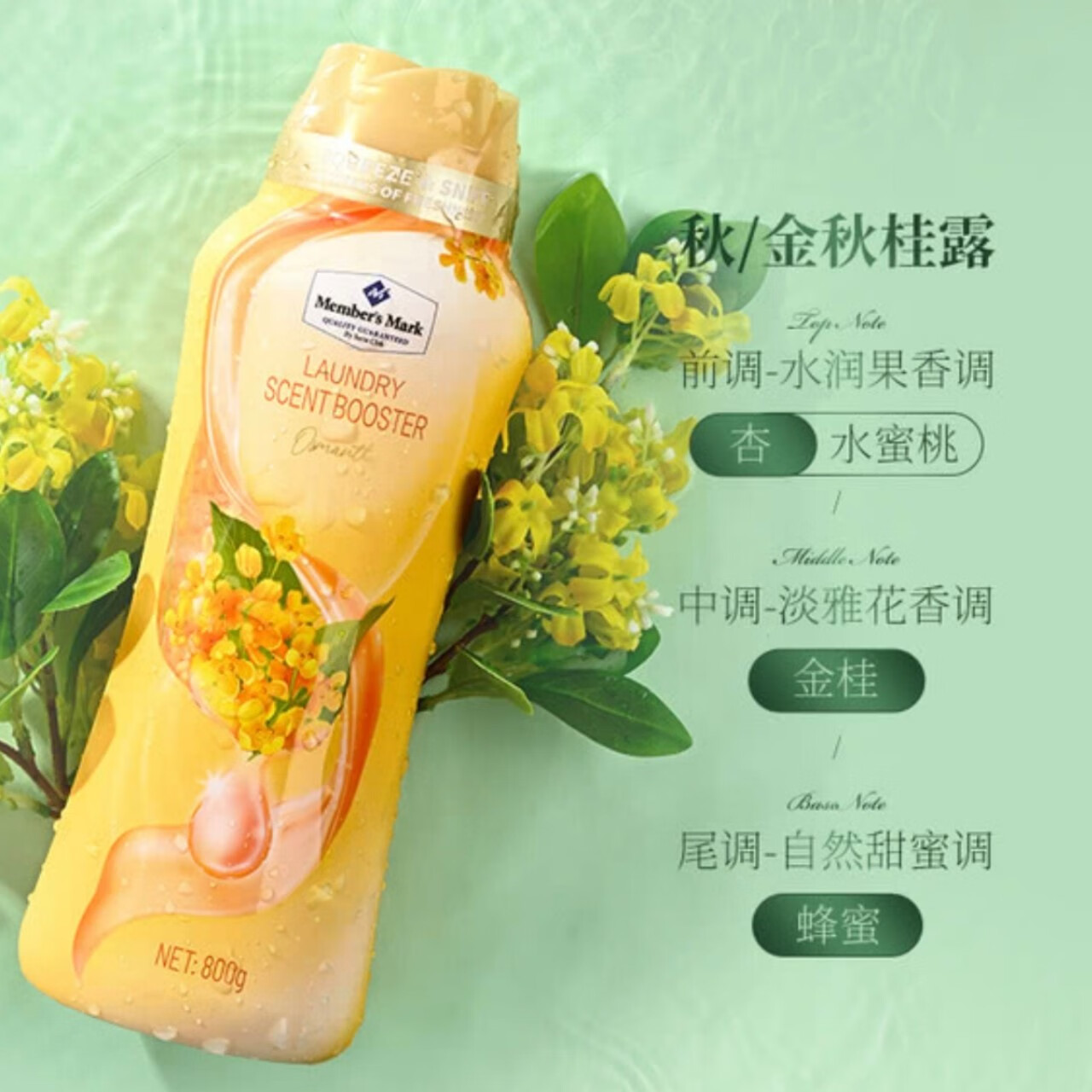 ɽķ�̵�MM�＾�޶�������־������������ϴ�°���1.5g �����¶ 800g 1ƿ ɽķ�ɹ�����