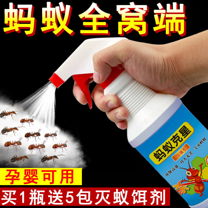 灭蚂蚁药饵剂家用无蚁毒全窝端室内清杀驱防除厨房小蚂蚁喷剂