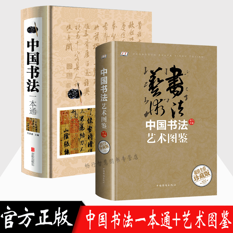 中国书法一本通+中国书法艺术图鉴 精装2本中国书法大全传世书法技法初学教程一本通历代书法名家名品鉴赏