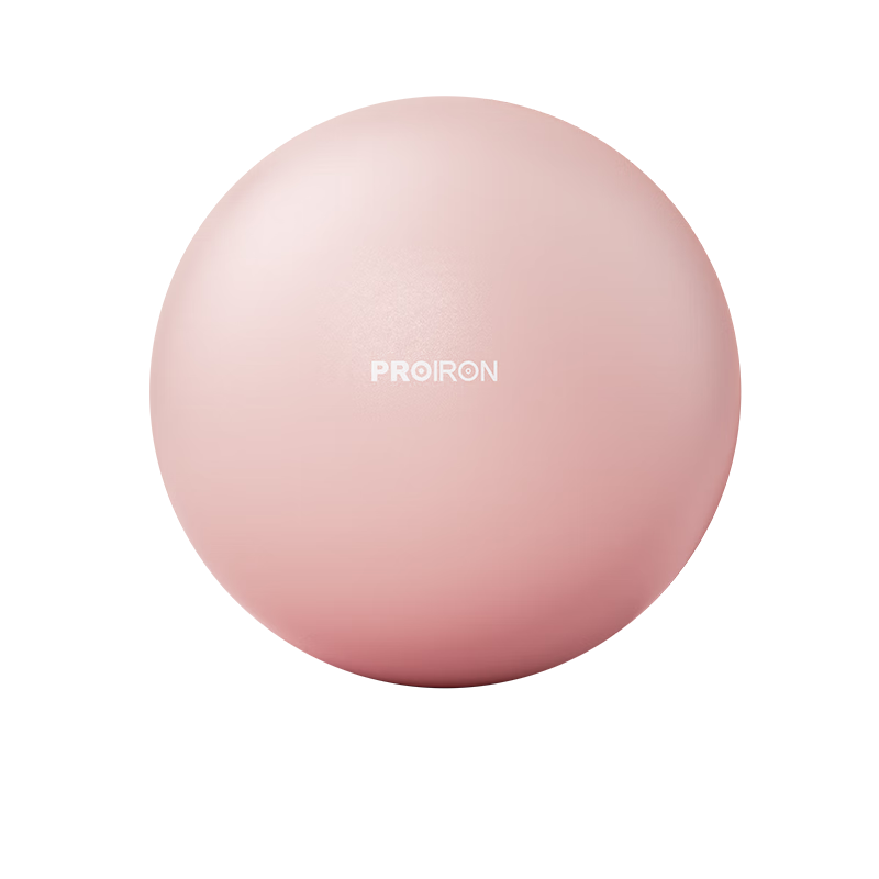 PROIRON������ �٤���צ��С����׼�ѵ��ר����������25cm������ �� 25.5Ԫ