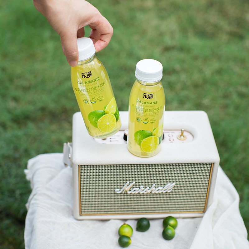 乐源小青柠汁果汁饮料280g含VC聚餐饮品 小青柠汁280g*8瓶