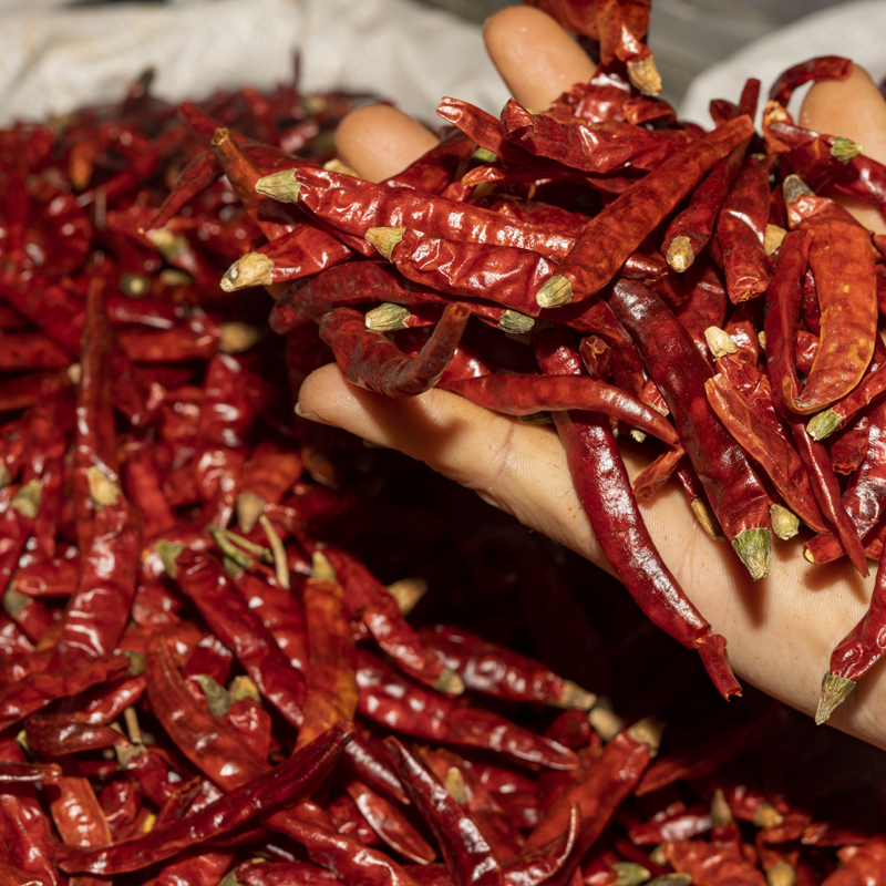 1斤 湖南特产干货干红辣椒微辣中辣特香农家自然晒干辣椒调料新货 微