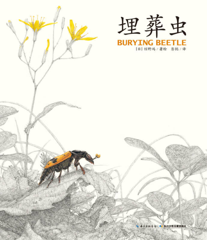 【正版书】馆野鸿科学绘本 埋葬虫
