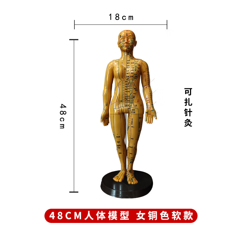 扎针练习小皮人铜男硬模 人体针灸模型人经络穴位中医全身十二铜人