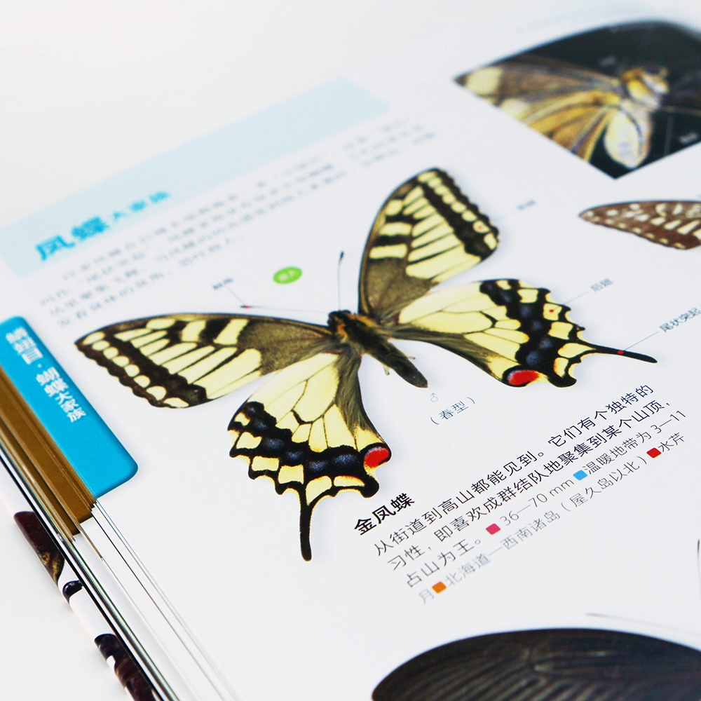 MOVE图鉴系列：昆虫+宇宙（2册）日本讲谈社当家科普，原版销量超200万册，满载生动知识的阅读体验详情图