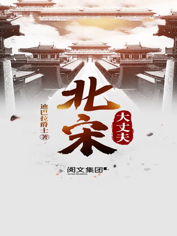 北宋大丈夫(全集)