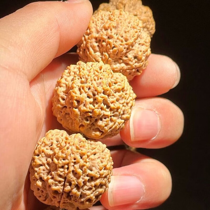 顶盈 尼泊尔爆肉大金刚菩提手串 满天星蜂王精挑 特色高货药王高密